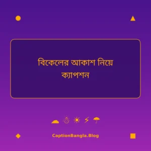 বিকেলের আকাশ নিয়ে ক্যাপশন ইমেজ