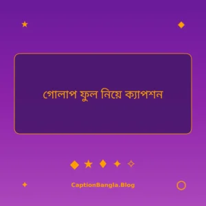 গোলাপ ফুল নিয়ে ক্যাপশন ইমেজ