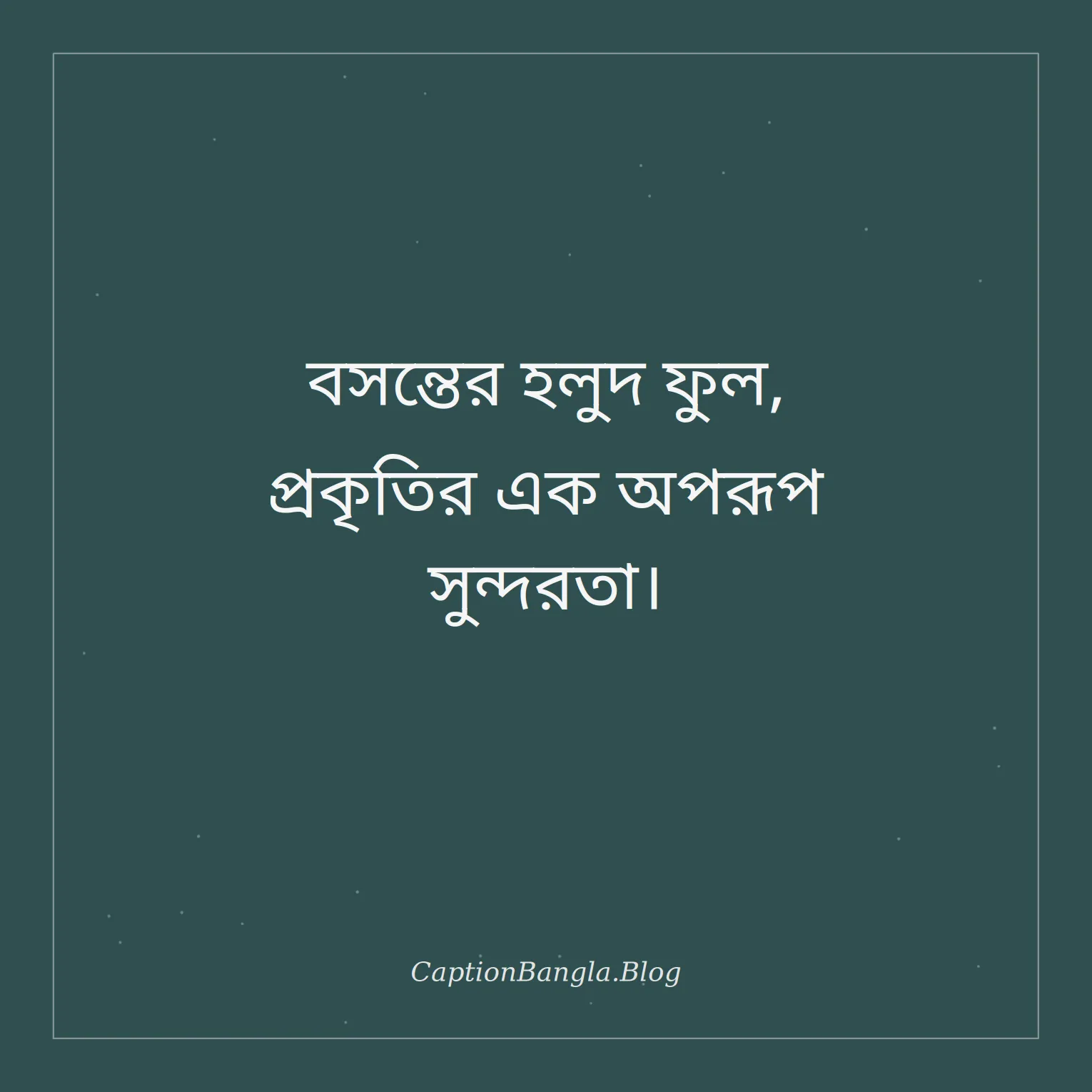 বসন্তের হলুদ ফুল নিয়ে ক্যাপশন
