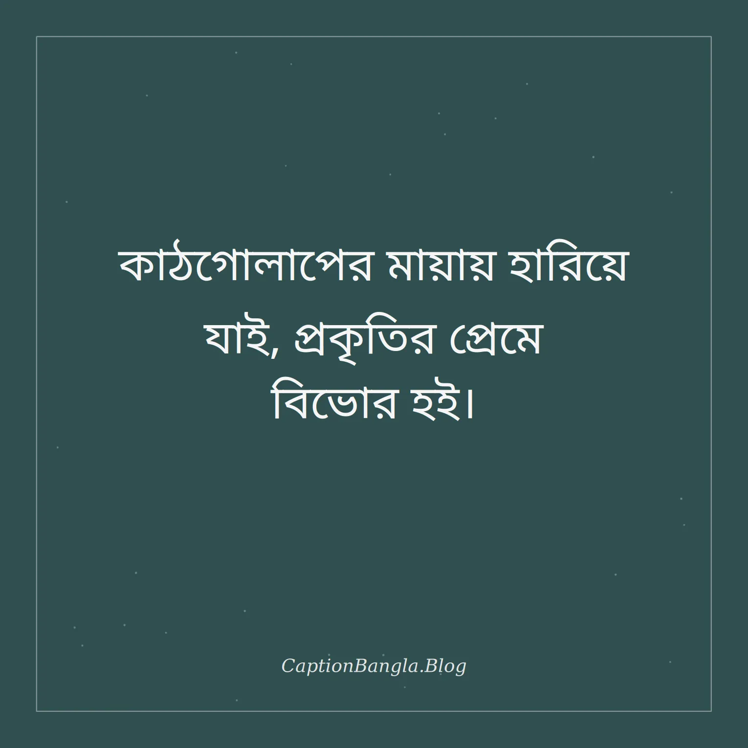 কাঠগোলাপ ফুল নিয়ে ক্যাপশন