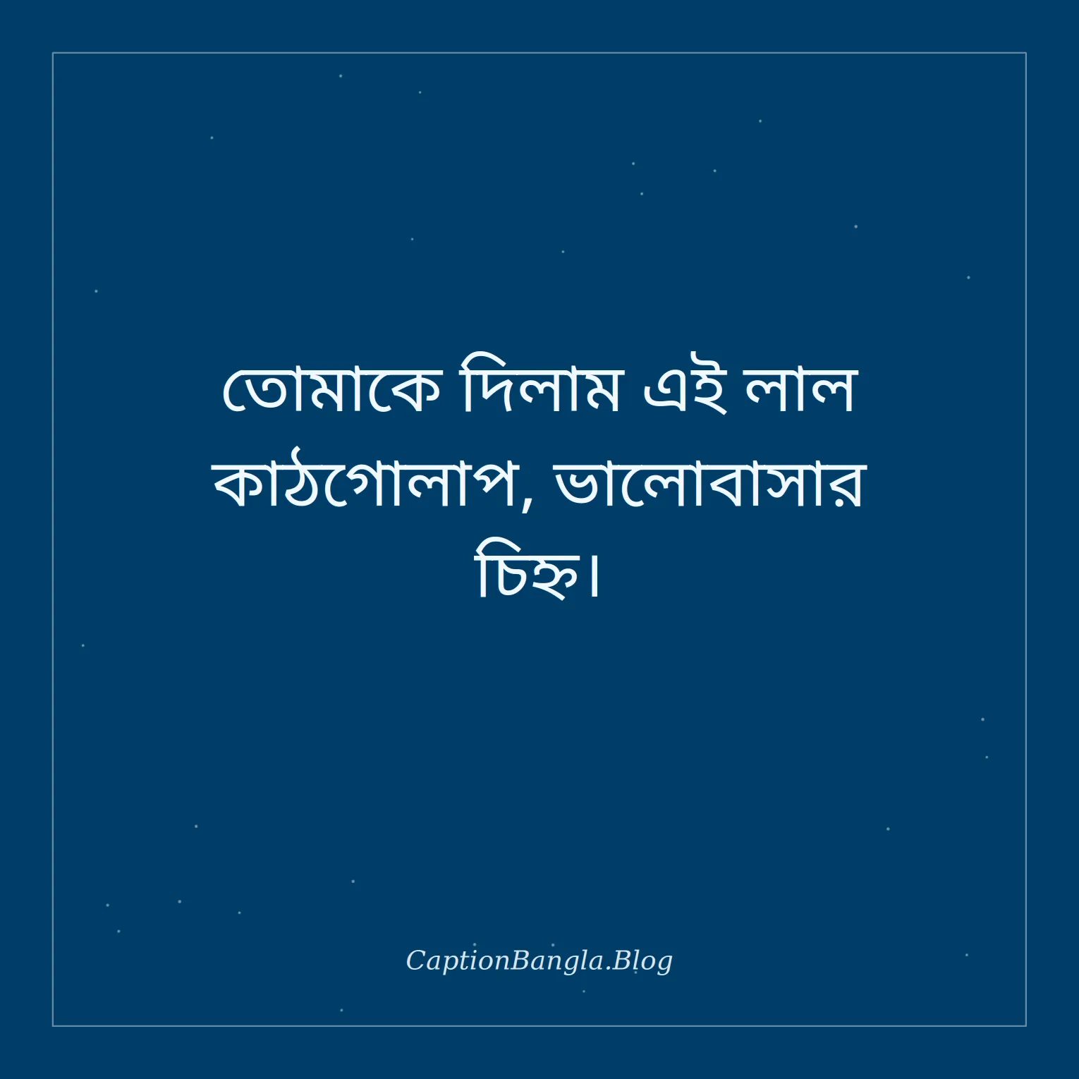 লাল কাঠগোলাপ নিয়ে ক্যাপশন