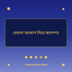 মেঘলা আকাশ নিয়ে ক্যাপশন ইমেজ