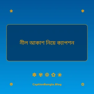 নীল আকাশ নিয়ে ক্যাপশন ইমেজ