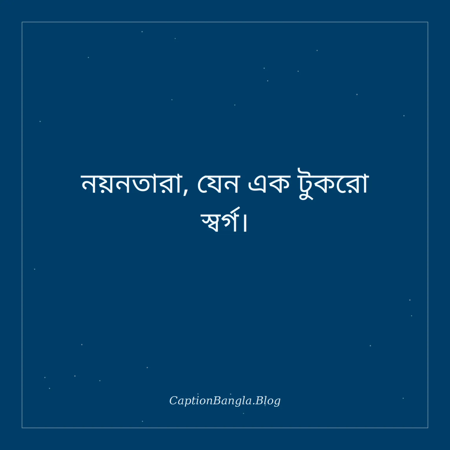 নয়নতারা ফুল নিয়ে ক্যাপশন