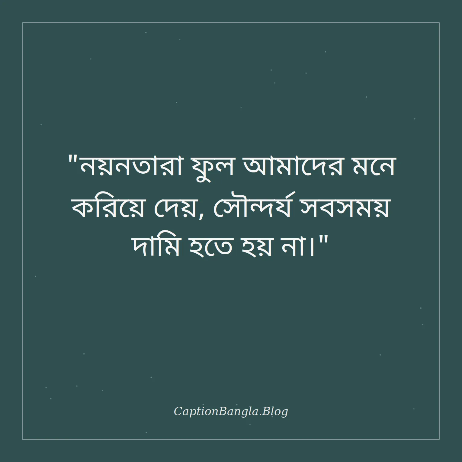 নয়নতারা ফুল নিয়ে উক্তি