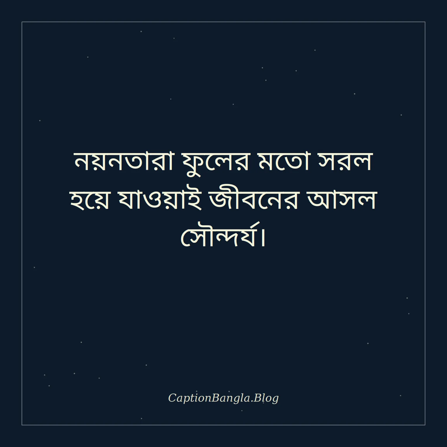 নয়নতারা ফুল নিয়ে স্ট্যাটাস