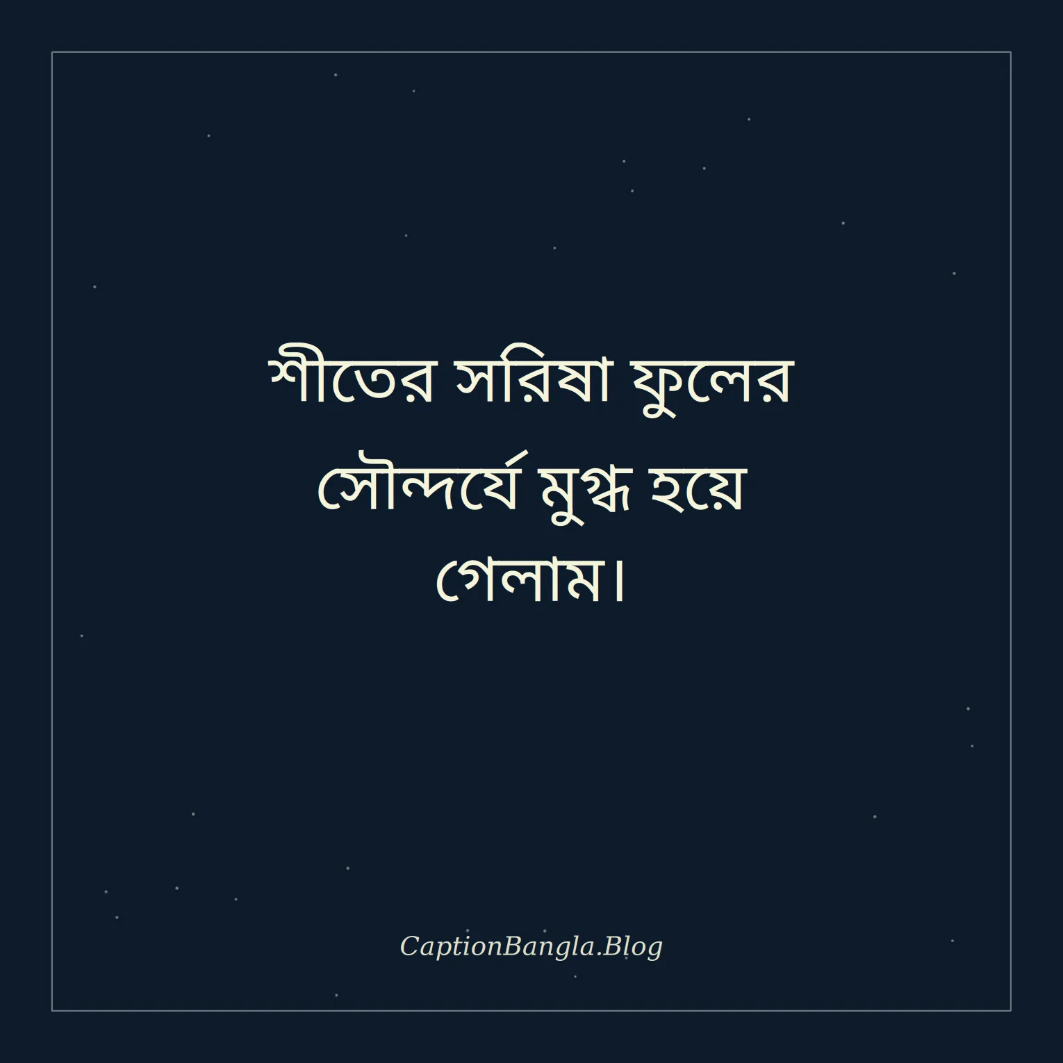 শীতের সরিষা ফুল নিয়ে ক্যাপশন